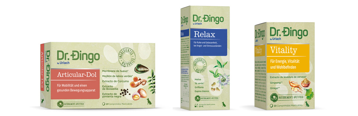 Dr. Dingo