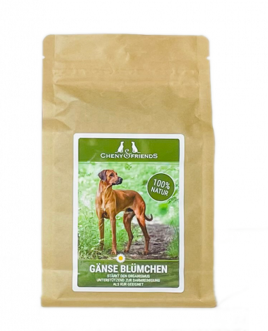 Preview: Gänseblümchen