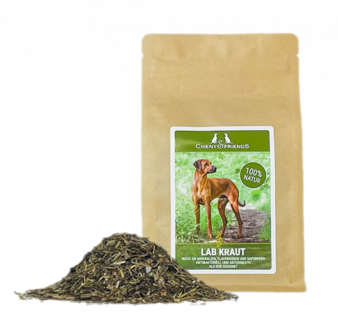 Labkraut