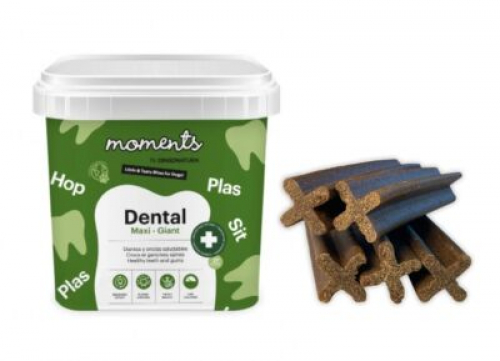 Dental Sticks MAXI / GIANT