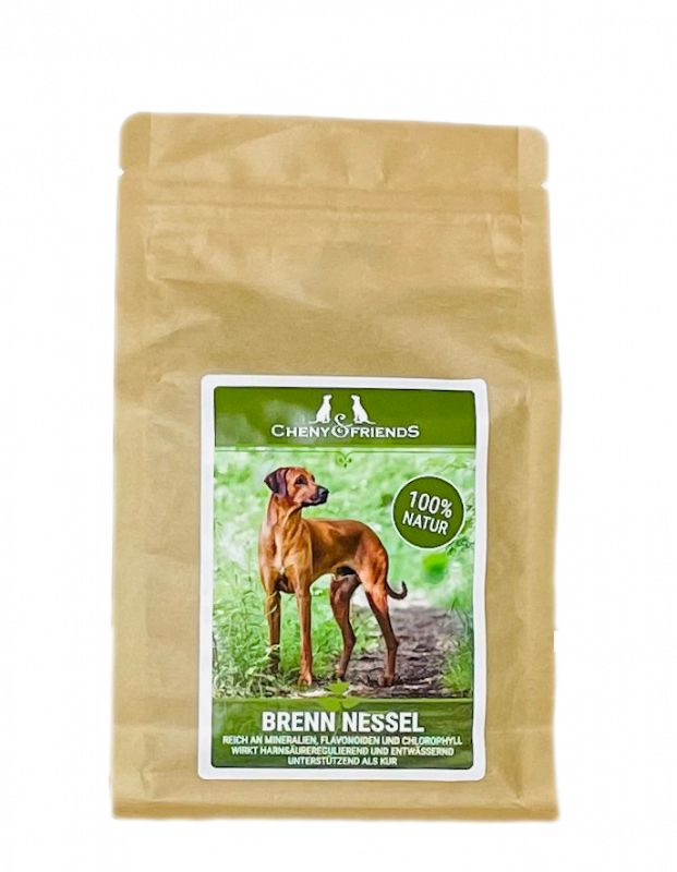 Brennnessel
