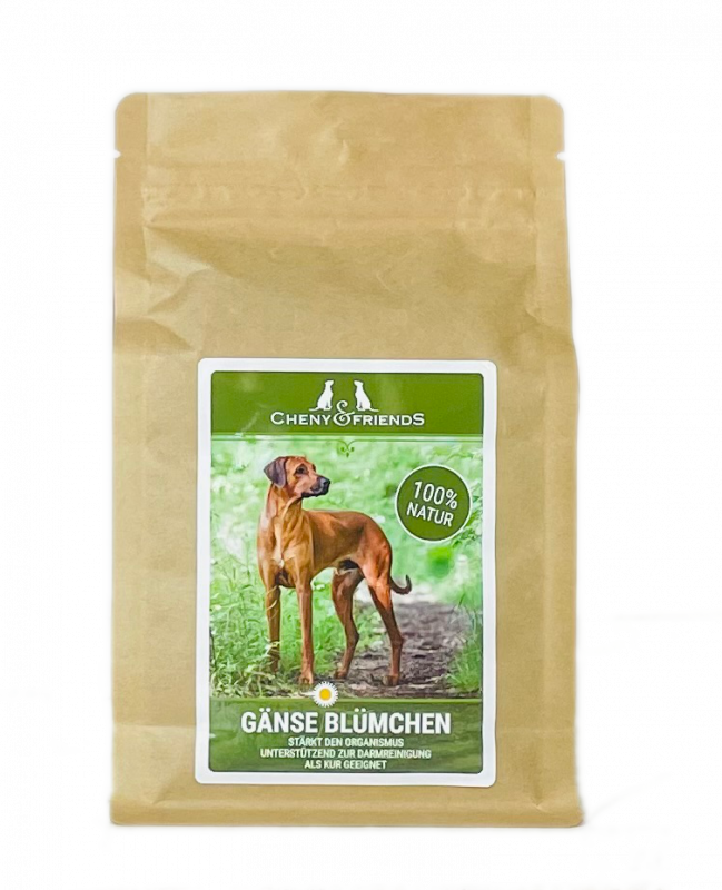 Gänseblümchen