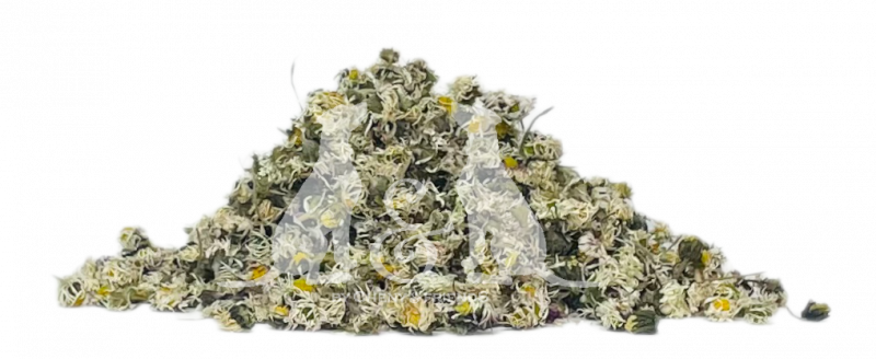 Gänseblümchen