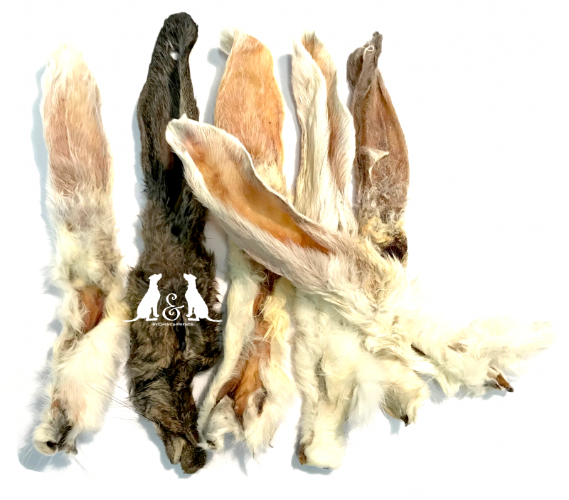 Kaninchenohren mit Fell