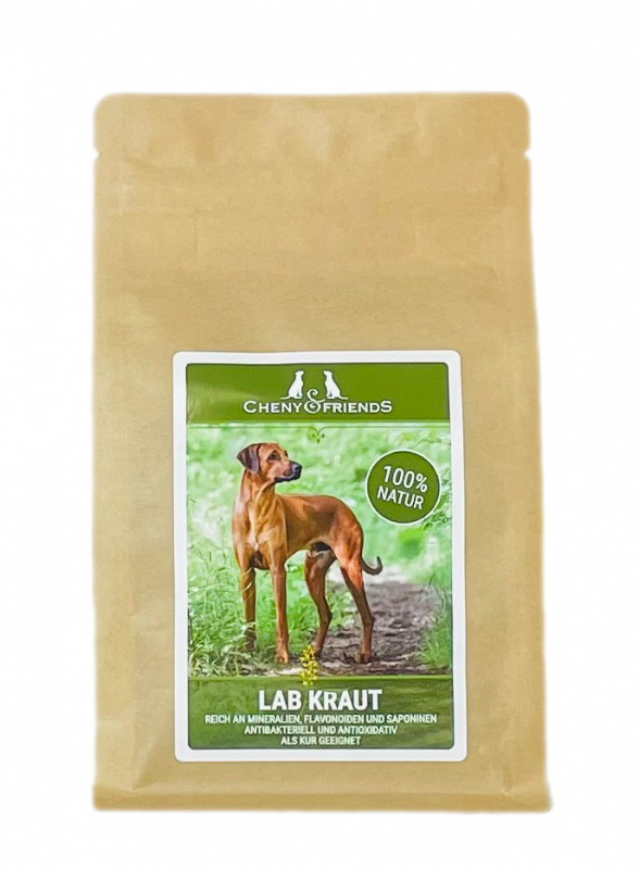 Labkraut