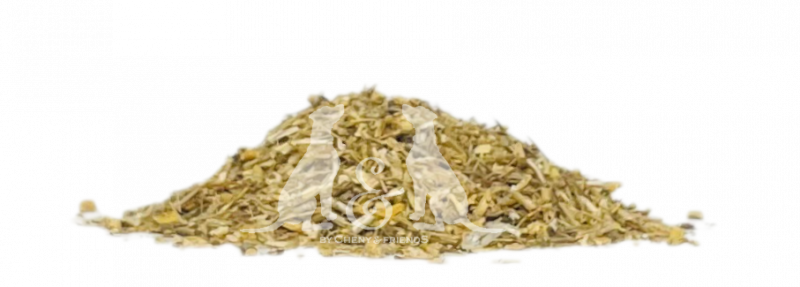 Queckenwurzel