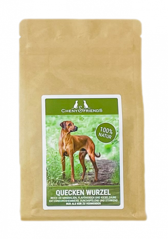 Queckenwurzel