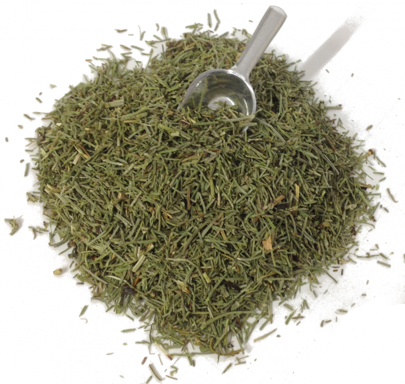 Schachtelhalmkraut Schachtelhalmkraut