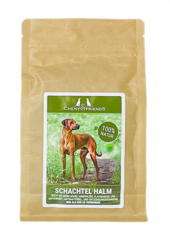 Schachtelhalmkraut