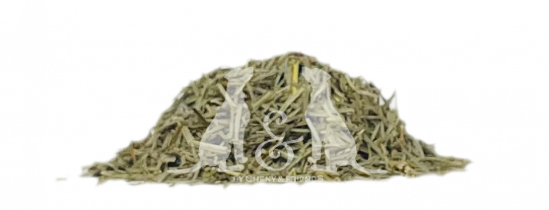 Schachtelhalmkraut