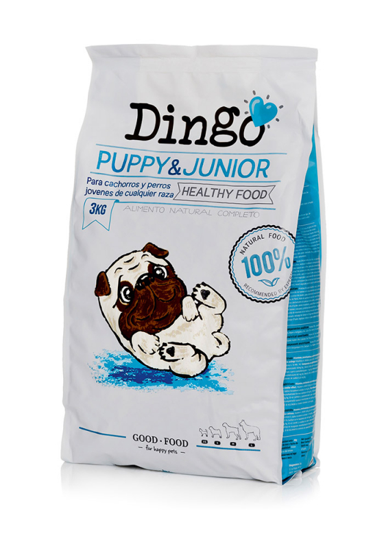 Dingo Puppy & Junior